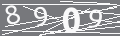 capsa
